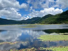 -腾冲北海湿地