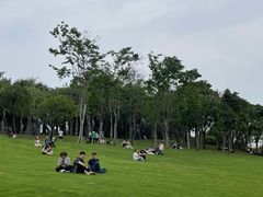 -深圳湾公园(南山区)