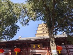 -大慈恩寺(大雁塔)