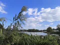 -梁鸿国家湿地公园