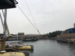 -海底巡游艇:尼莫和好友的海洋世界