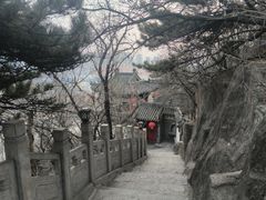 -高尔山公园