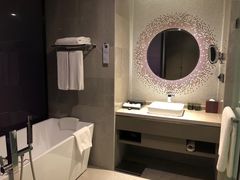 -南京禄口机场雅高铂尔曼大酒店