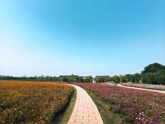 -丝绸小镇荻港古村