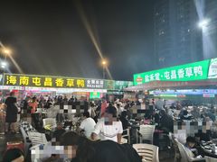 -盐禾堂海南屯昌香草鸭(总店)