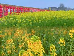 -中国天府农业博览园