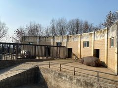 -合肥野生动物园
