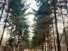 -长春市南湖公园