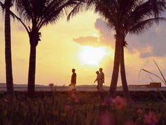 -三亚海棠湾万丽度假酒店