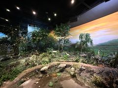 -陕西自然博物馆