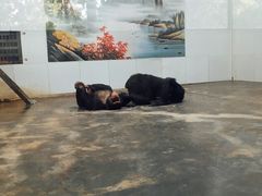 -西安秦岭野生动物园