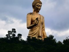 -西双版纳原始森林公园