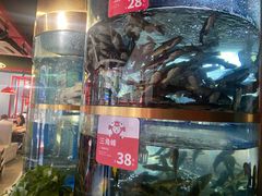 -蜀滋香鲜鱼美蛙火锅(339店)