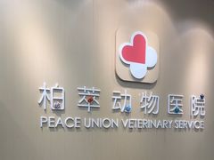 -柏萃动物医院·骨科·牙科
