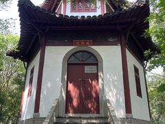 -上海佘山国家森林公园天马山园