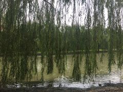 -华东政法大学(松江校区)