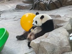 -宁波野生动物园