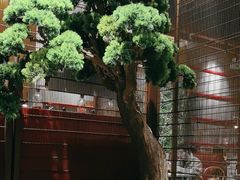 -牛村来人潮汕牛肉火锅(西单店)