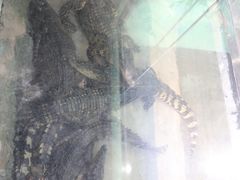 -乌鲁木齐海洋馆