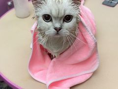 -FAELING PETS美天灵宠物(富力广场店)