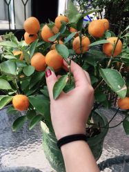 手部美甲-妙睫屋日式美甲美睫