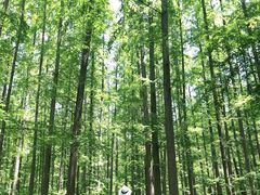 -上海怡沁园度假酒店