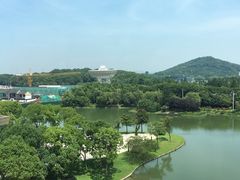 -佘山世茂艾美·御珍轩中餐厅