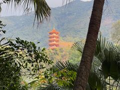 -深圳仙湖植物园