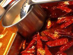 渝利鸳鸯锅-渝利重庆火锅