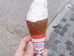 -富豪雪糕车流动点(尖沙咀店)