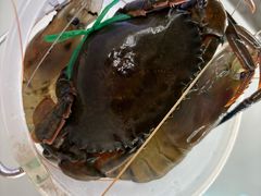 -芭提雅Amporn Seafood自助餐厅