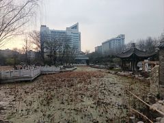 -莲湖公园