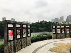 -重庆彩云湖湿地公园