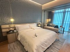 -深圳国际会展中心希尔顿酒店(前海华发冰雪世界店)