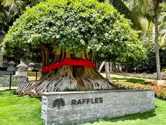 -海南清水湾莱佛士酒店