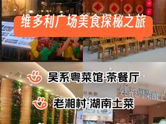 -VT101维多利广场