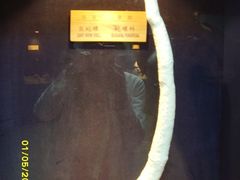 -亚龙湾中心广场·贝壳馆