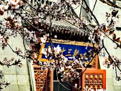 -唐城墙遗址公园