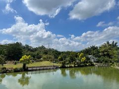 包房-谷丰健康凤贤居酒家