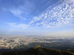 -紫金山山顶公园
