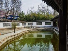 -团结湖公园