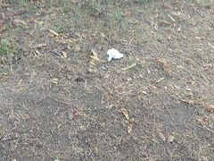 -华夏文旅西安度假区