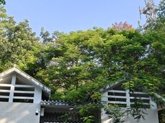 -火炉山森林公园