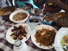 -白草畔自然风景区