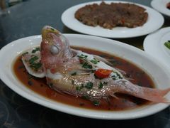 -梅子大排档