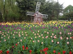 -长春公园(普阳街道)