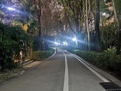 -荔香公园