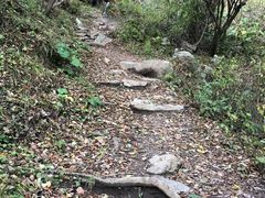 -王顺山国家森林公园