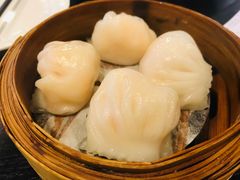 添运来虾饺皇-添运来(茶园奥园广场店)