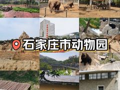 -石家庄市动物园